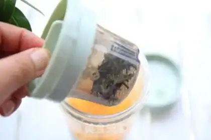 Make Green tea mango step 7