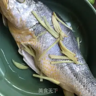 Make Squidfish step 0
