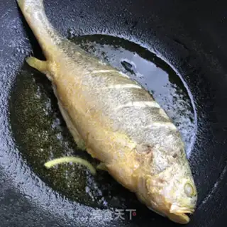 Make Squidfish step 2