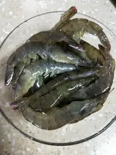 Make Shrimp step 1