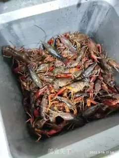 Make Five fragrance lobster step 0
