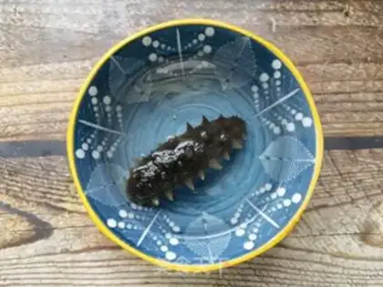 Make Pillow onions and sea cucumber step 0