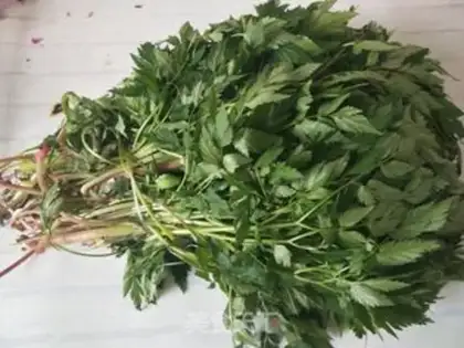 Make Celery is frozen and stored step 0