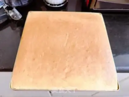 Make Meat Pine step 12