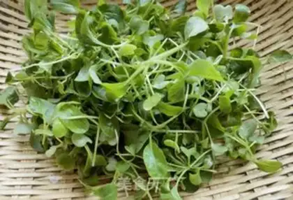 Make Chicken caterpillar omelet sprouts step 1