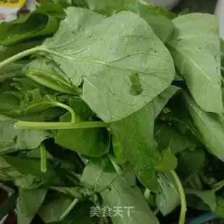 Make Empty cabbage step 0