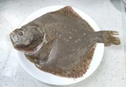 Make Fresh fish step 4