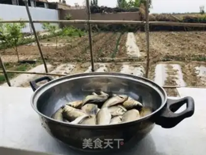 Make Wild minnow soup step 0