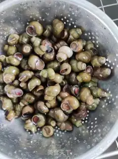 Make Snails step 0