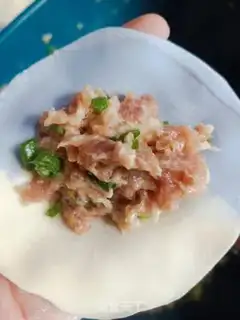 Make Double pork dumplings step 10