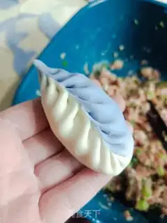 Make Double pork dumplings step 11