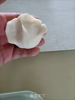 Make Vegetable dumplings step 12