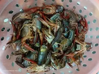 Make Spicy lobster step 0