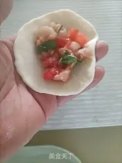 Make Tomato chicken dumplings step 12