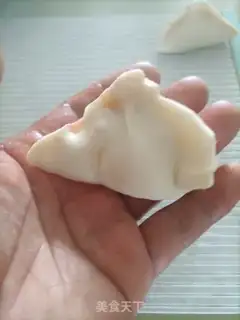 Make Tomato chicken dumplings step 13