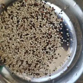 Make quinoa porridge step 0
