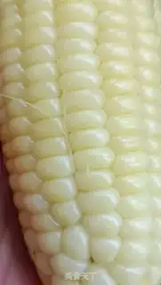 Make Corn Goose Flamingo salad step 0
