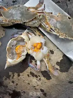 Make Skinfish crab congee step 3