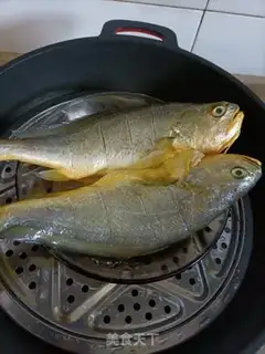 Make Vacuated yellowfish step 2