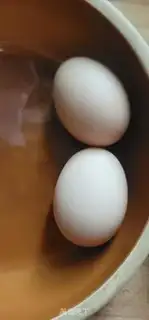 Make ♪ Tortoises ♪ step 1