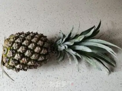 Make Homemade pineapples step 0
