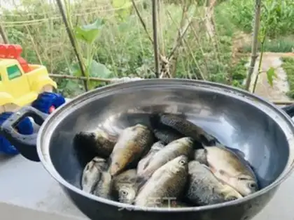 Make Sausage fish step 0