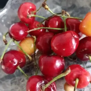 Make Sweet melon cherry yogurt bowl step 3