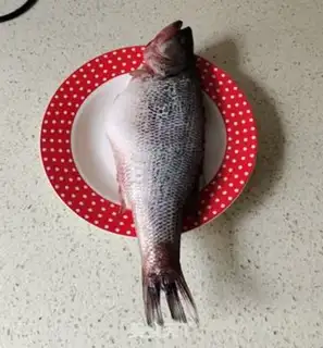 Make Vacuate herring step 0