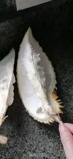 Make Chicken soup with durian shells step 1