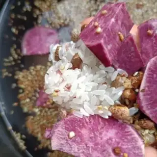 Make Porridge step 4