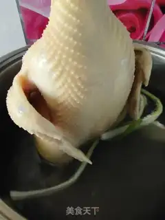 Make Salt chicken step 5
