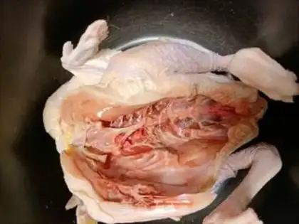 Make Salt chicken step 0