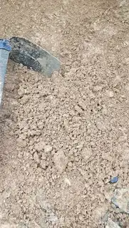 Make A duck egg step 0