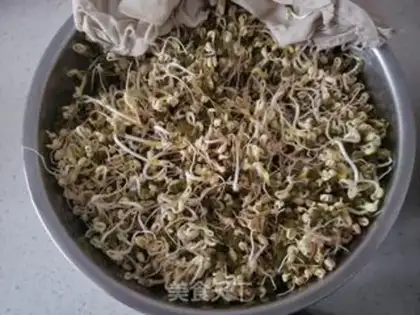 Make Green bean sprouts, black wood step 0