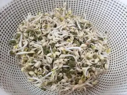 Make Green bean sprouts of corn step 2