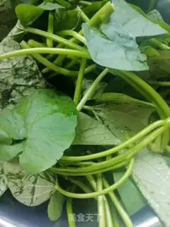 Make Clear the red potato leaves step 0