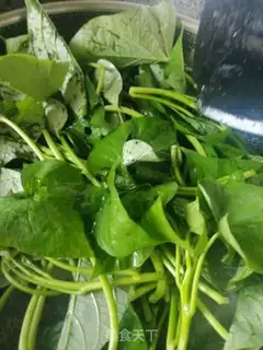 Make Clear the red potato leaves step 2