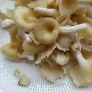 Make Beef veal step 0