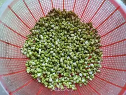 Make Auto green bean sprouts step 1