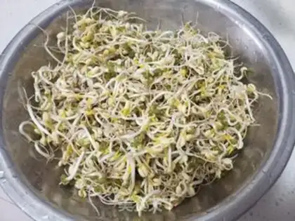Make Green bean sprouts onions step 0
