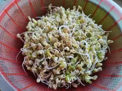 Make Auto green bean sprouts step 4