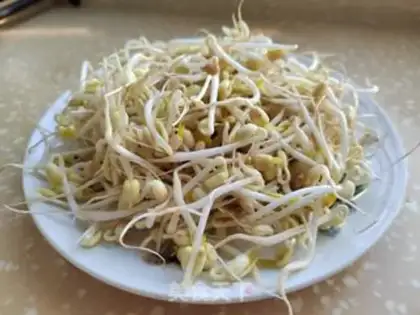 Make Auto green bean sprouts step 5