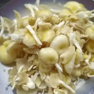 Make Sodium mushroom eggs step 1