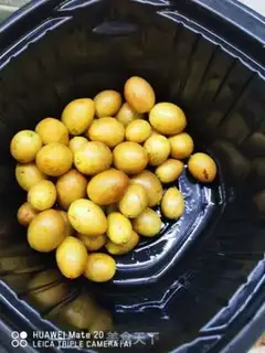 Make Yellow chicken step 1