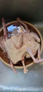 Make Sandpot pigeons step 0