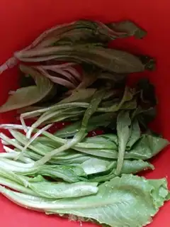 Make Salted double vegetables step 0
