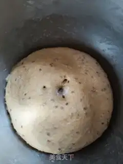 Make Polish whole-martial seed snacks step 8