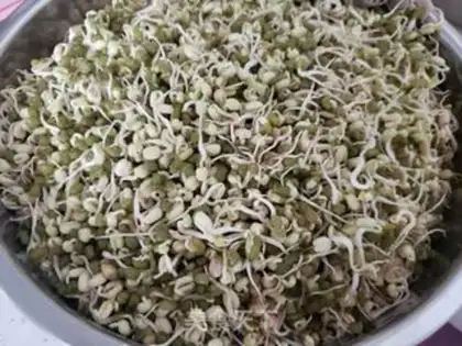 Make Bone bean noodle step 3