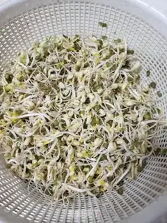 Make Onion fried green bean sprouts step 1