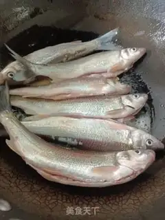 Make Creamfish step 1